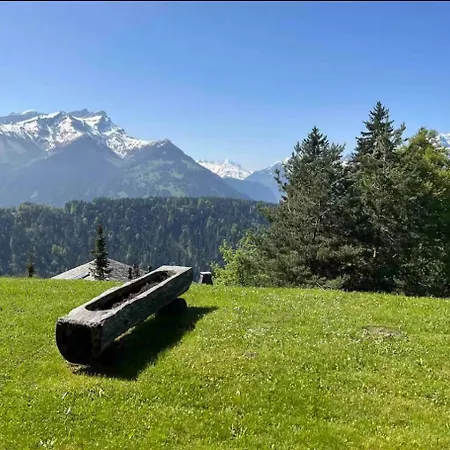 Chalet Villars View